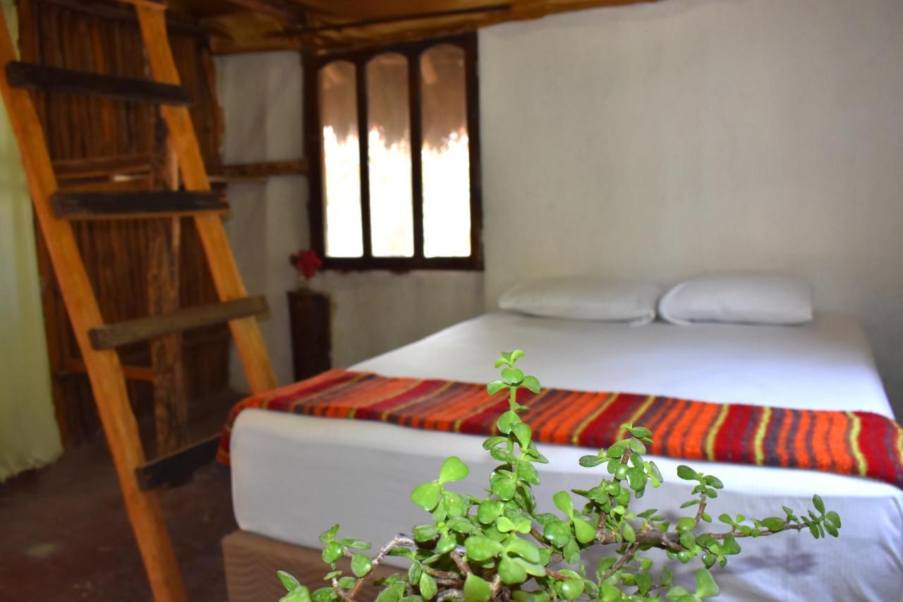 Lobo Inn Tulum Zewnętrze zdjęcie