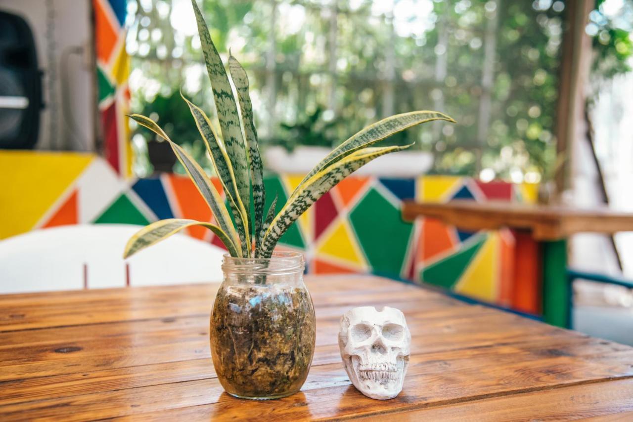 Lobo Inn Tulum Zewnętrze zdjęcie